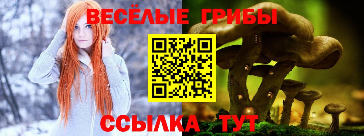 Псилоцибиновые грибы мухоморы Партизанск