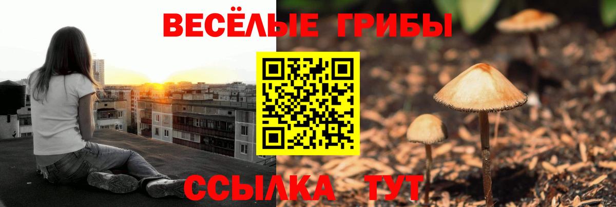 Партизанск  Псилоцибиновые грибы Psilocybe  Псилоцибиновые грибы Psilocybe  Вход с VPN 